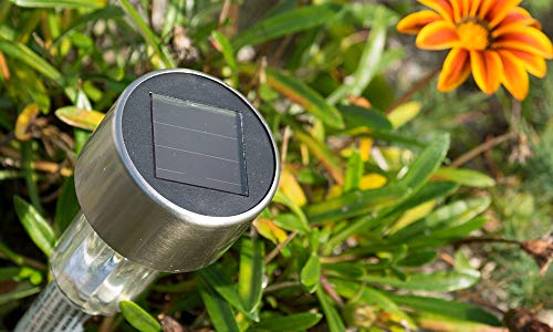 Solarne lampe 10kom.