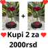 Akcija